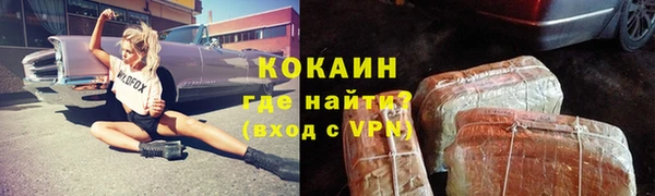 индика Михайловск