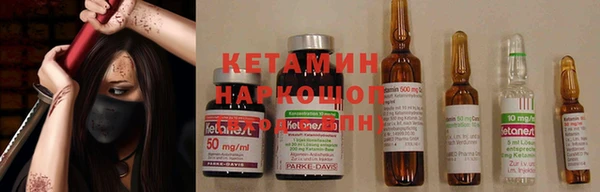 индика Михайловск