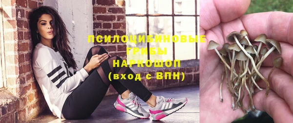 спиды Грязовец