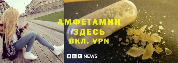 индика Михайловск